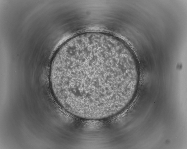 X0000094921314200712201211