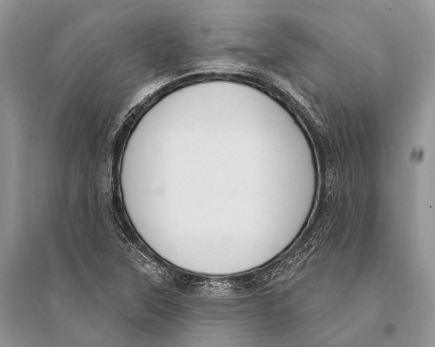 X0000094921315200712201211