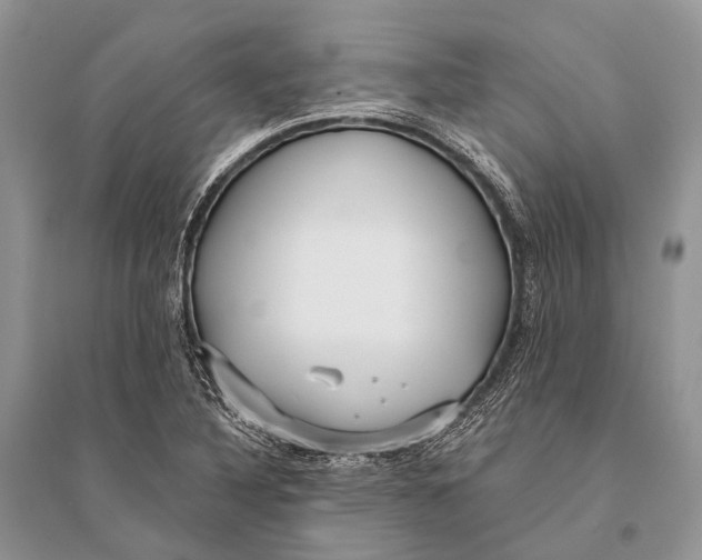 X0000094921316200712201211