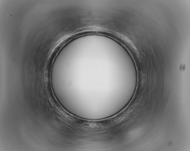 X0000094921318200712201211