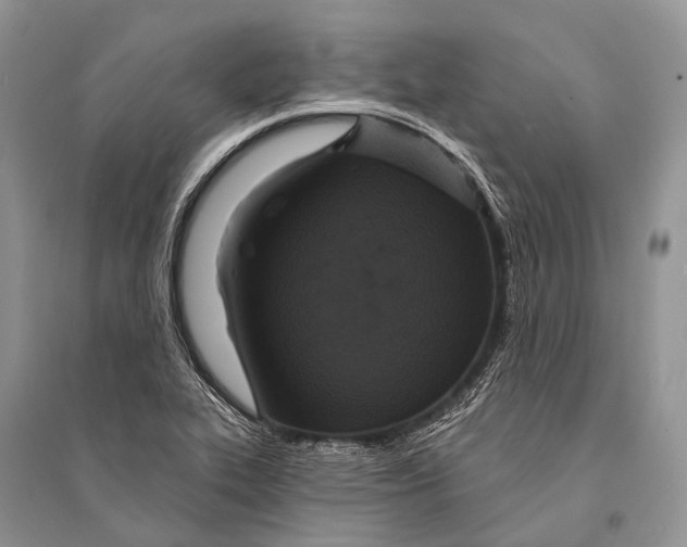 X0000094921319200712201211