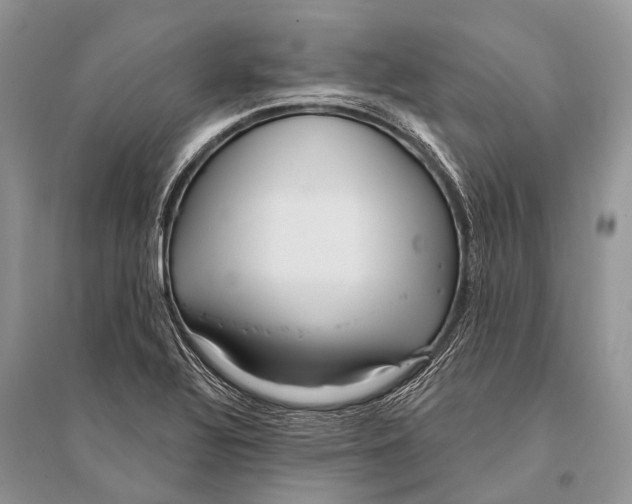 X0000094921320200712201211