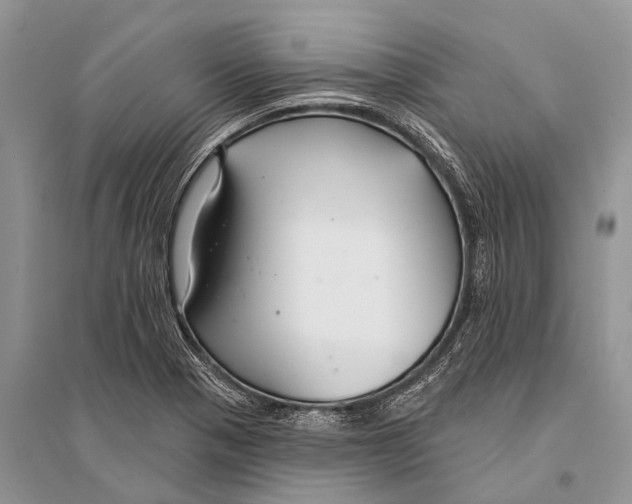 X0000094921321200712201211