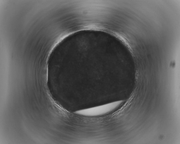 X0000094921323200712201211