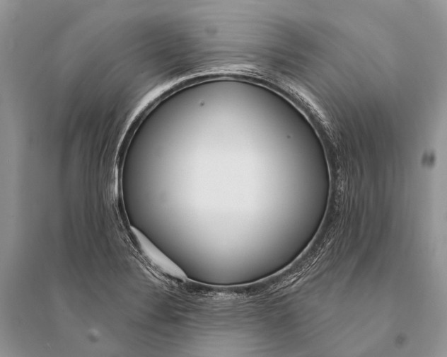 X0000094921324200712201211