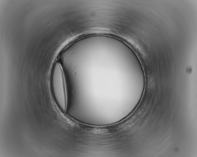 X0000094921325200712201211