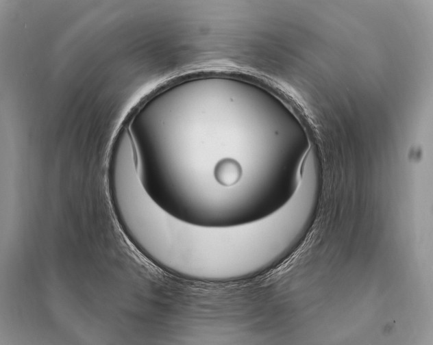 X0000094921326200712201211