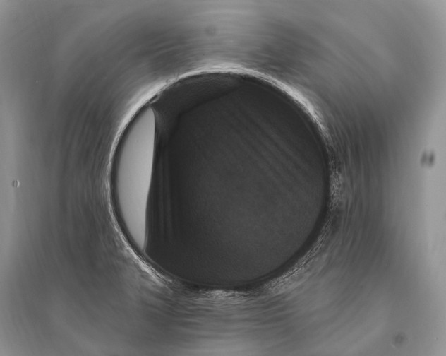 X0000094921327200712201211