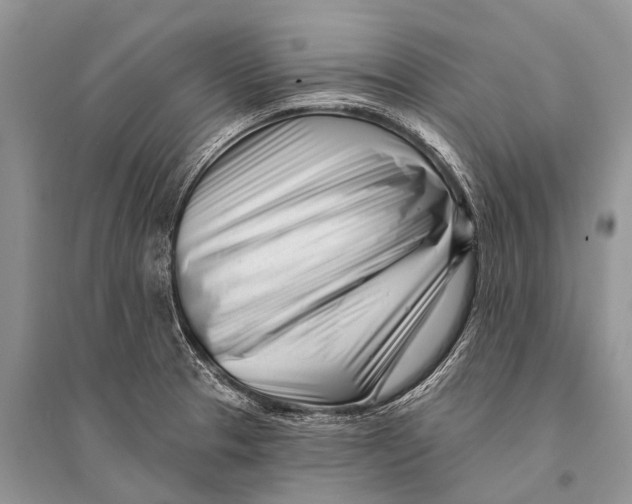 X0000094921329200712201211