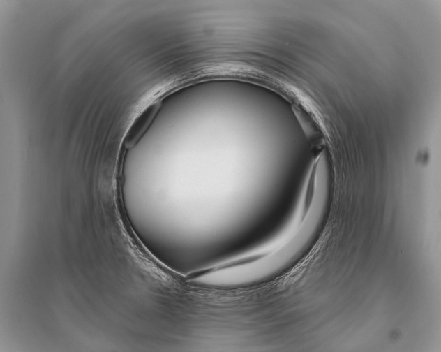 X0000094921330200712201211