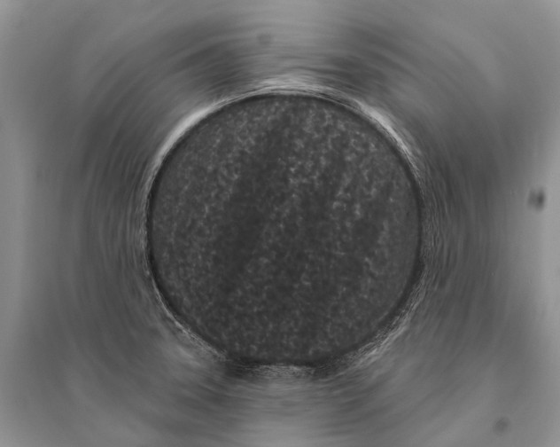 X0000094921331200712201211