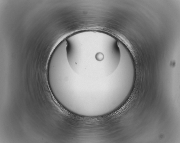 X0000094921332200712201211