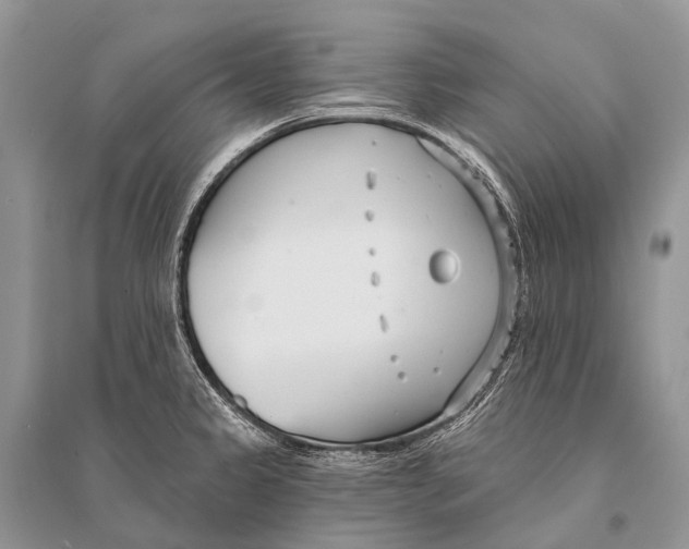 X0000094921333200712201211