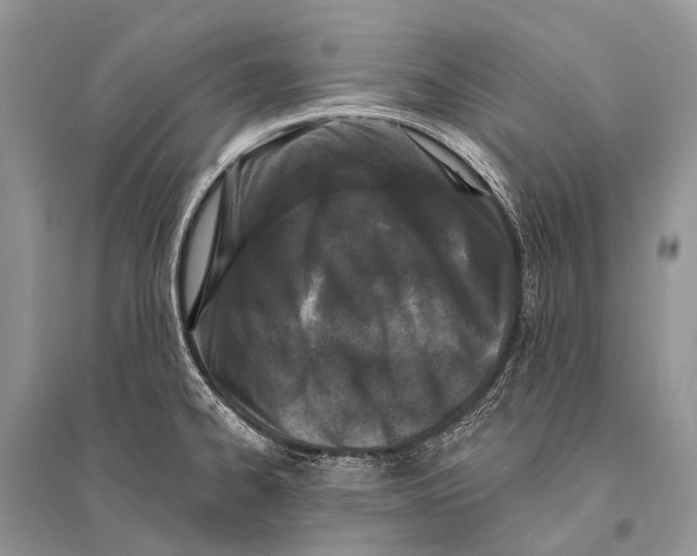 X0000094921334200712201211