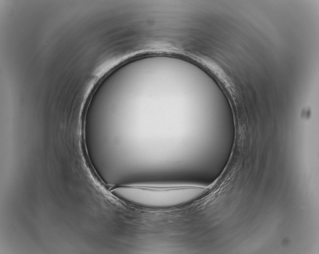 X0000094921335200712201211