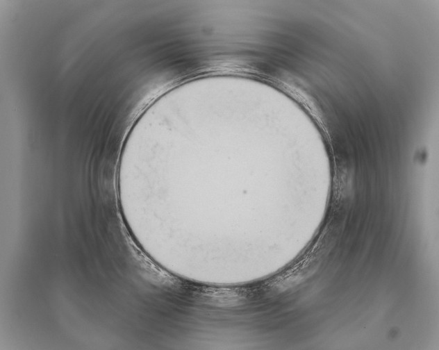 X0000094921338200712201211