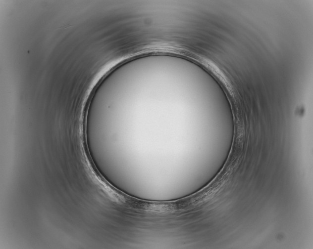 X0000094921339200712201211