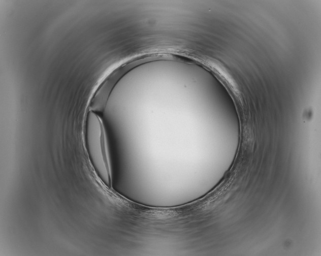 X0000094921340200712201211