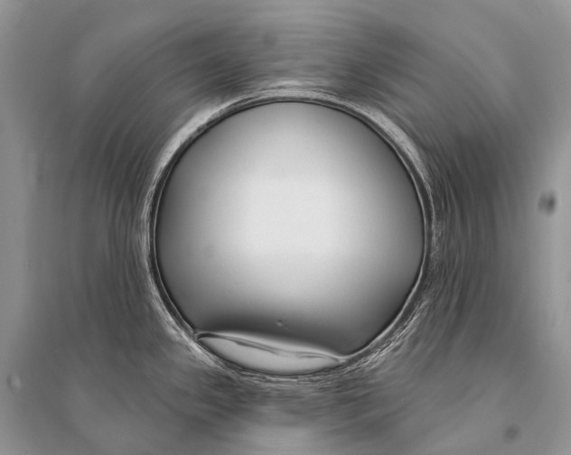 X0000094921341200712201211