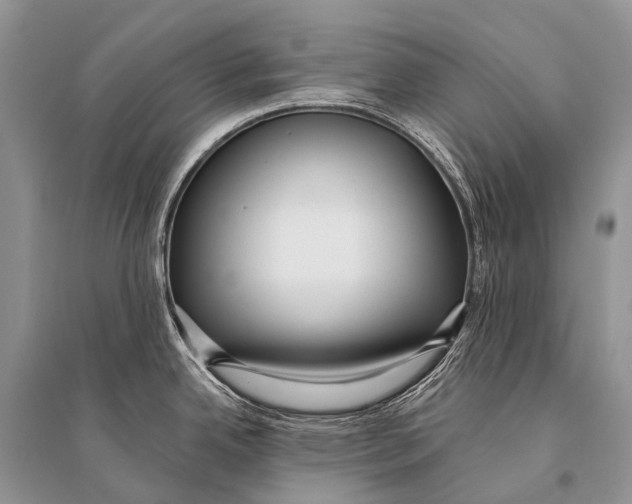 X0000094921342200712201211