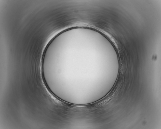 X0000094921343200712201211