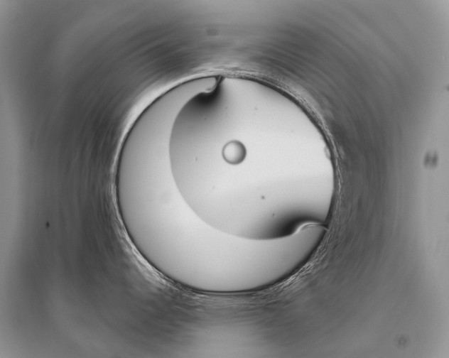 X0000094921344200712201211