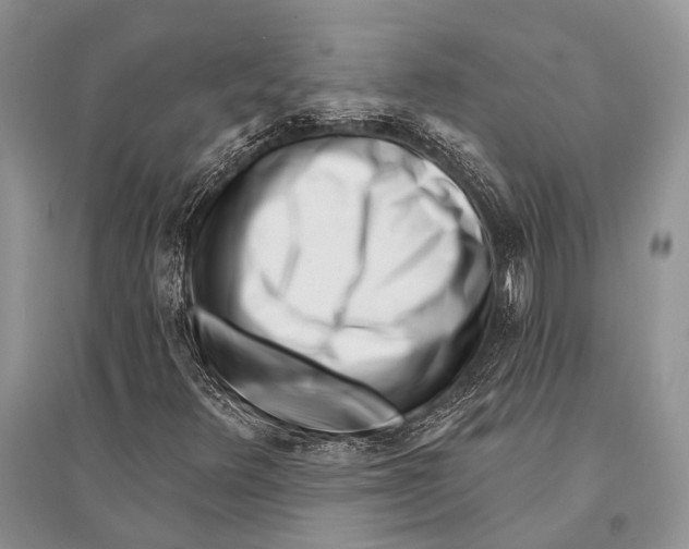 X0000094921348200712201211