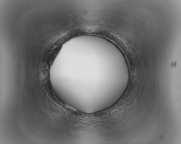 X0000094921349200712201211