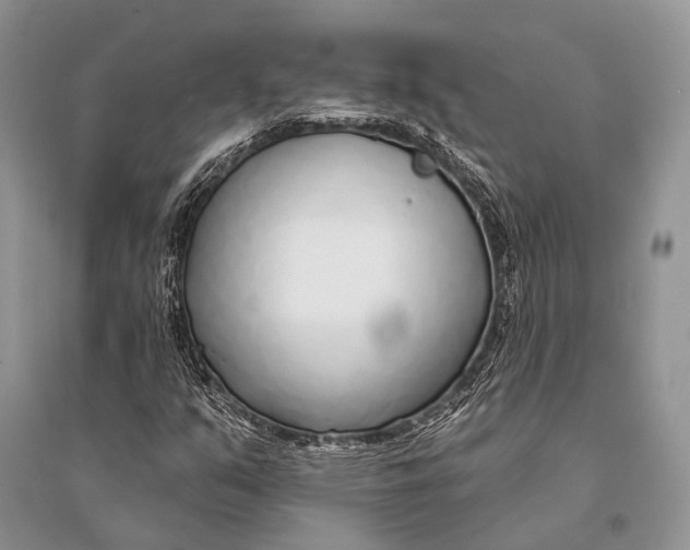 X0000094921351200712201211