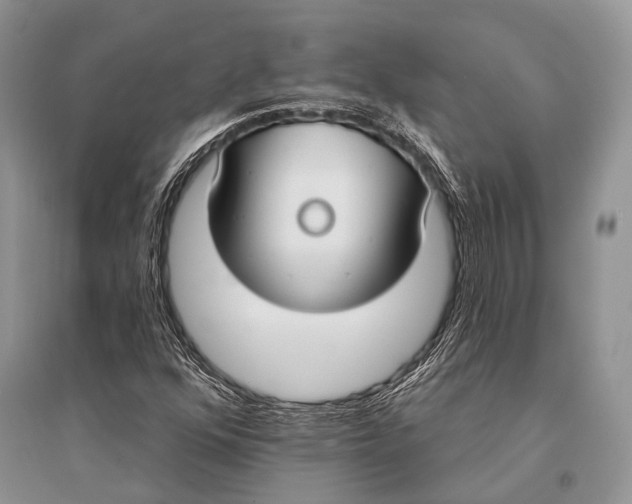 X0000094921352200712201211