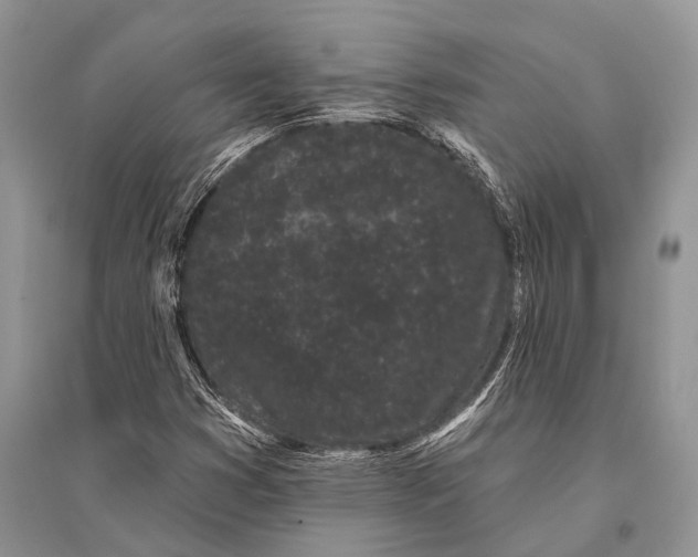 X0000094921353200712201211