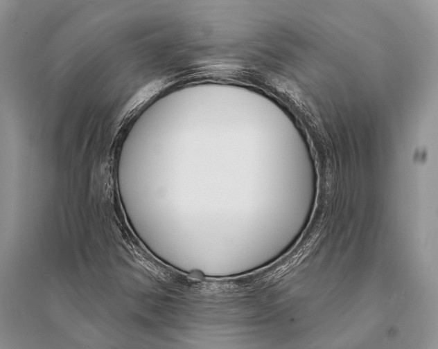 X0000094921354200712201210