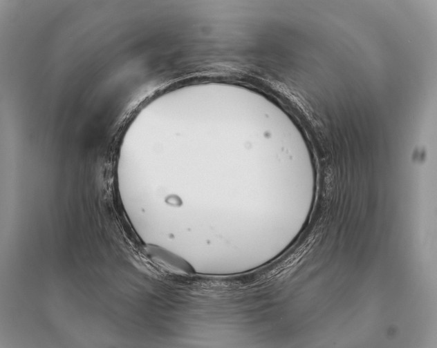 X0000094921355200712201210