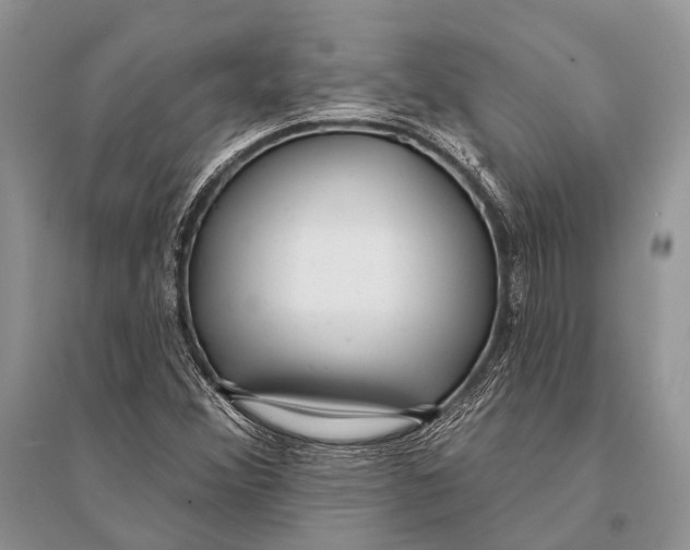 X0000094921356200712201210