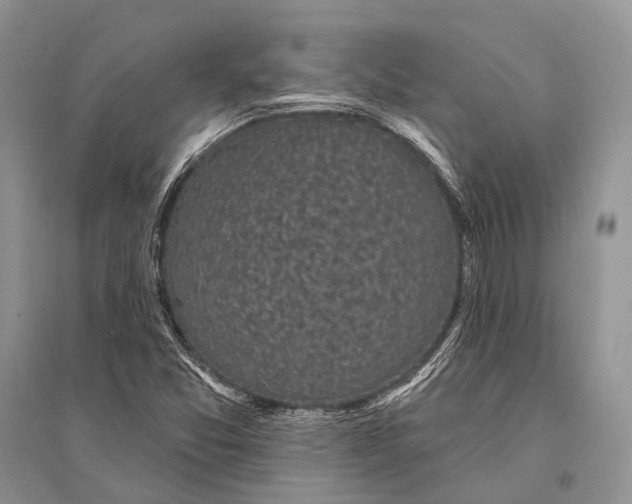 X0000094921357200712201210