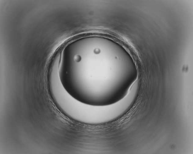 X0000094921360200712201210