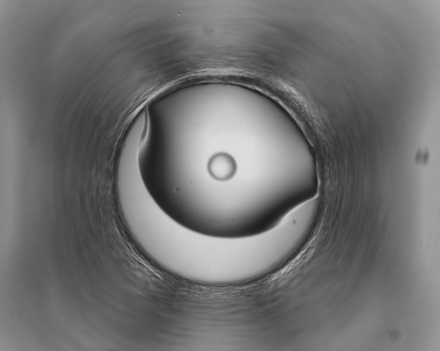 X0000094921361200712201210