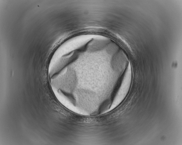 X0000094921362200712201210