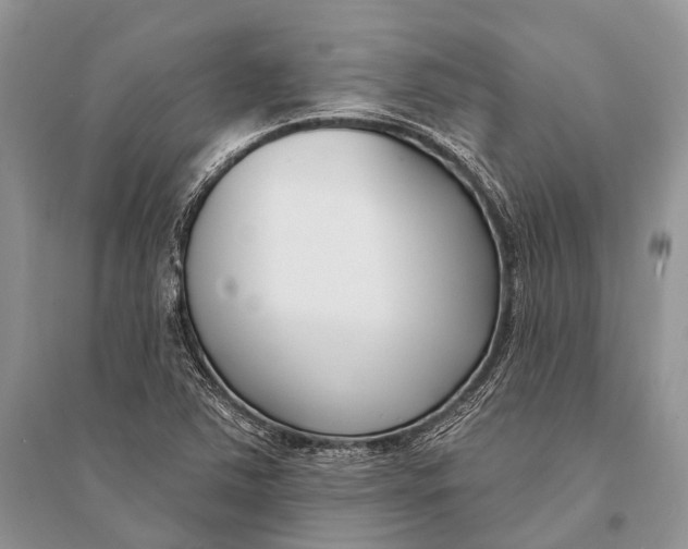 X0000094921363200712201210