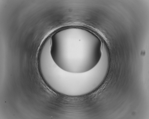 X0000094921364200712201210