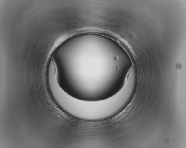 X0000094921365200712201210