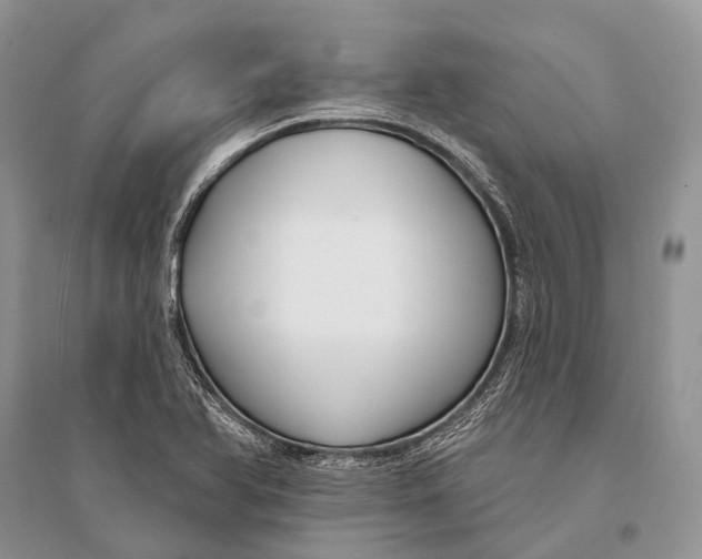 X0000094921366200712201210