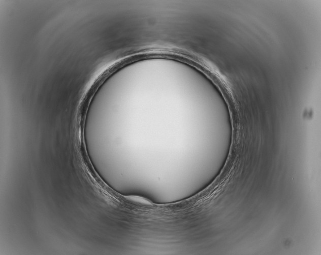 X0000094921368200712201210