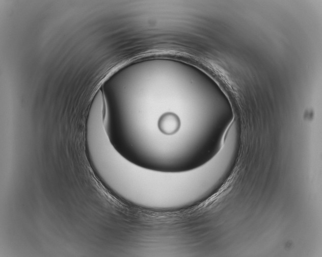 X0000094921369200712201210