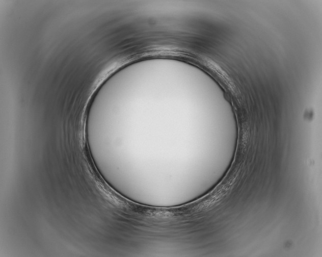 X0000094921370200712201210