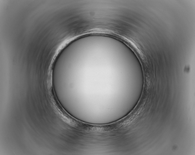 X0000094921371200712201210