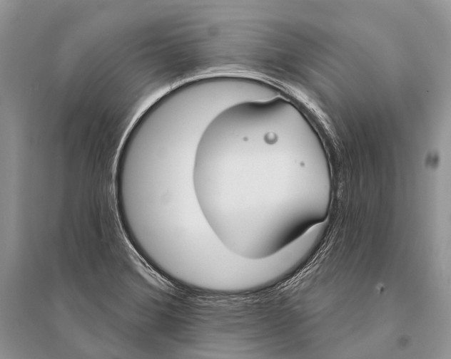 X0000094921372200712201210