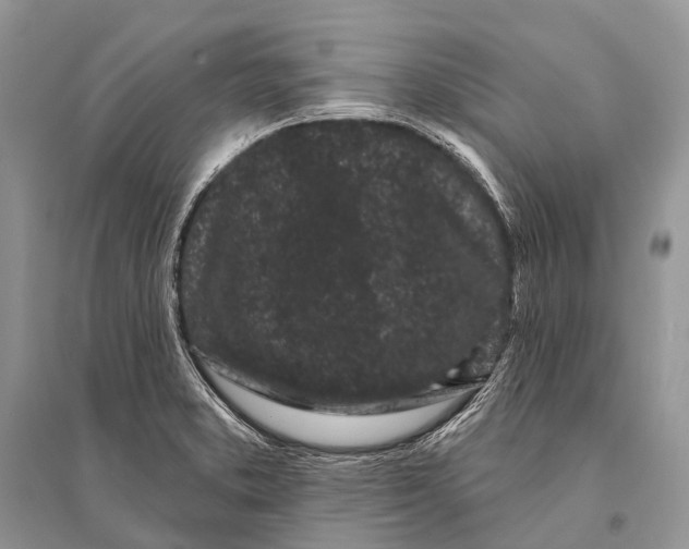 X0000094921373200712201210