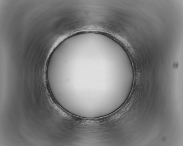 X0000094921374200712201210