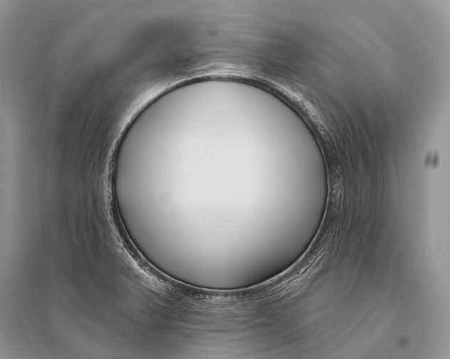 X0000094921375200712201210